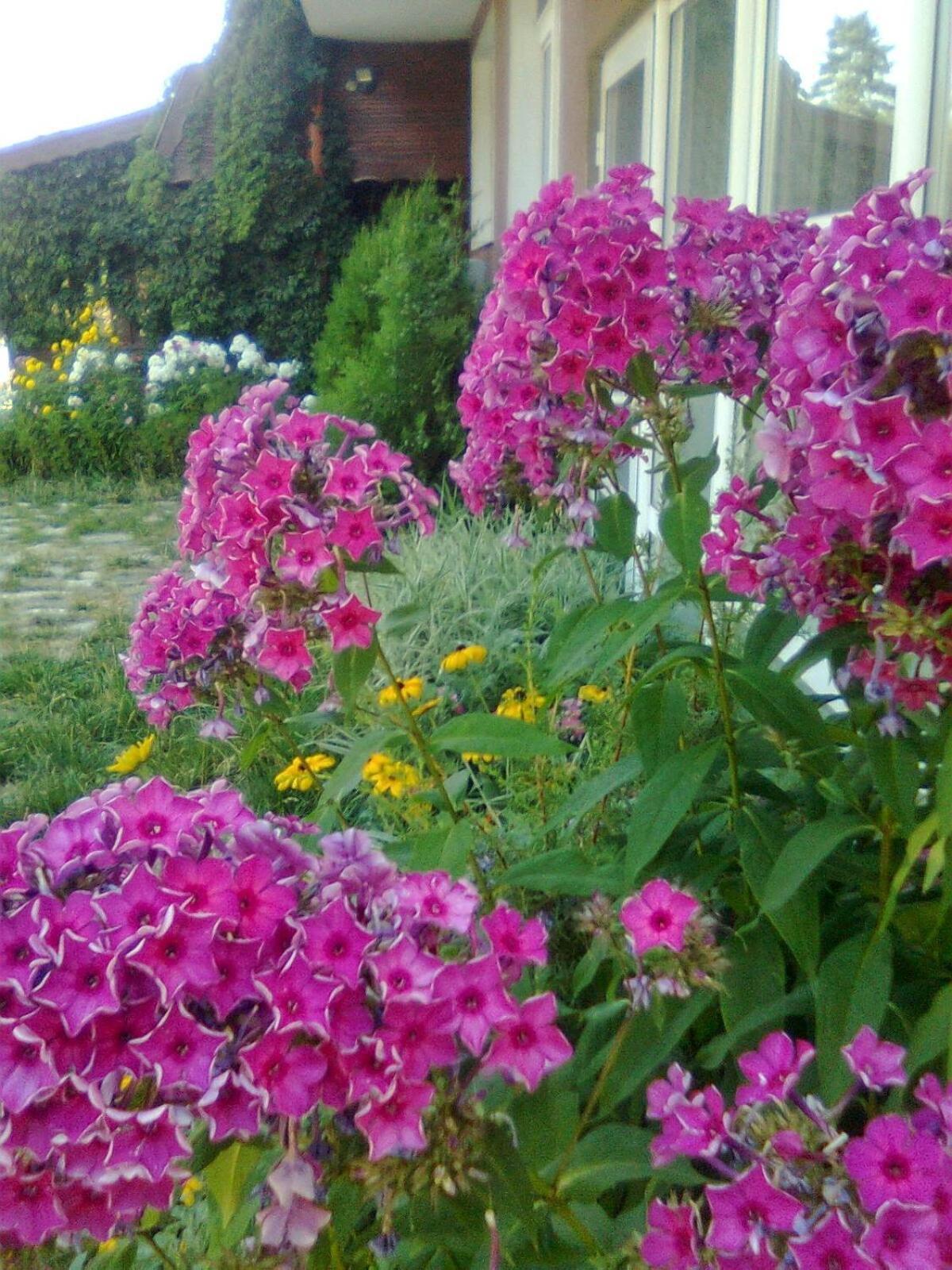Zodiac House Hotel Samokov Exterior photo