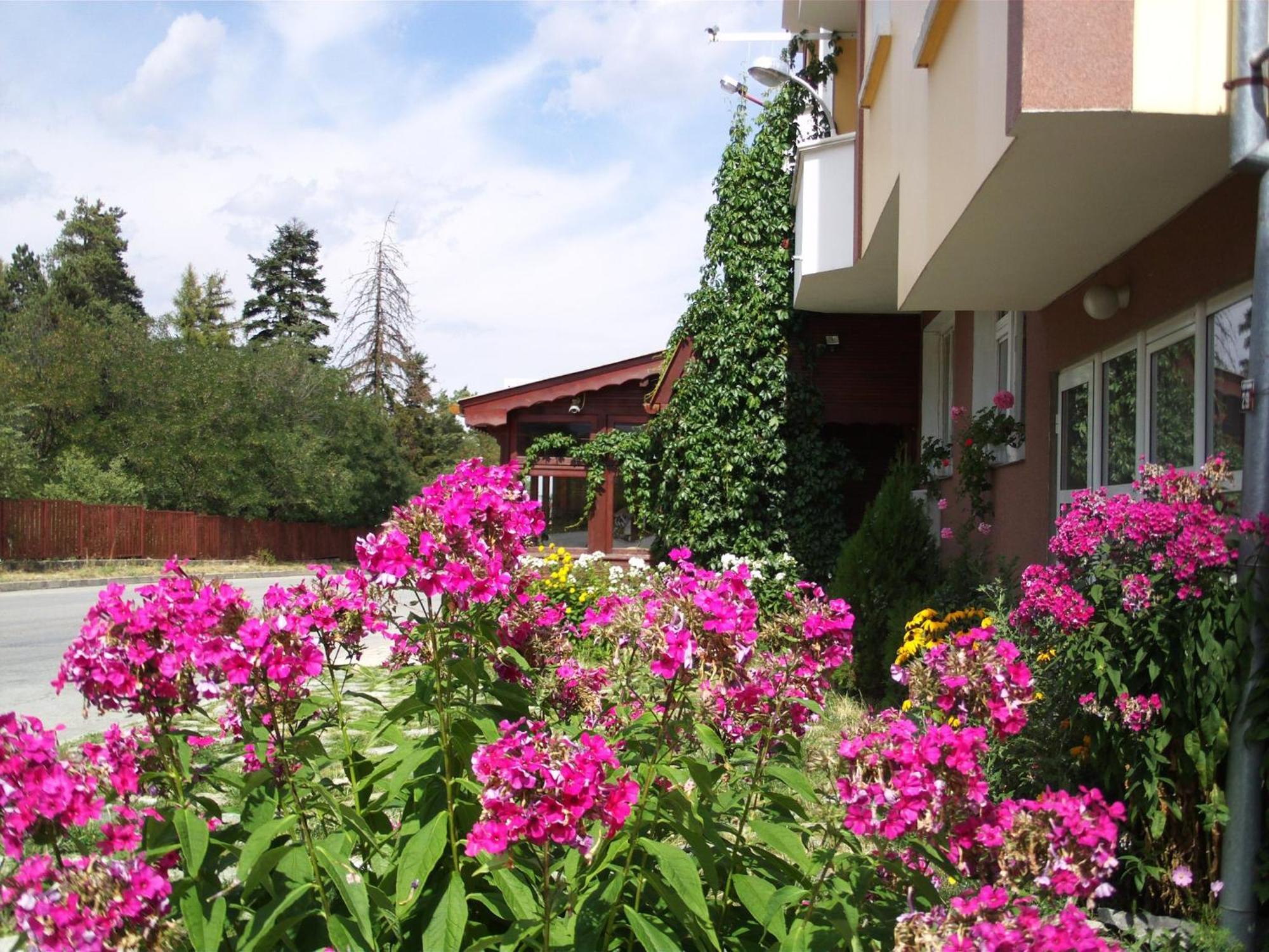Zodiac House Hotel Samokov Exterior photo